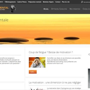 Optimental Consulting Ancienne Version